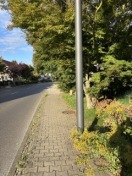 Foto: Gehweg frei schneiden 